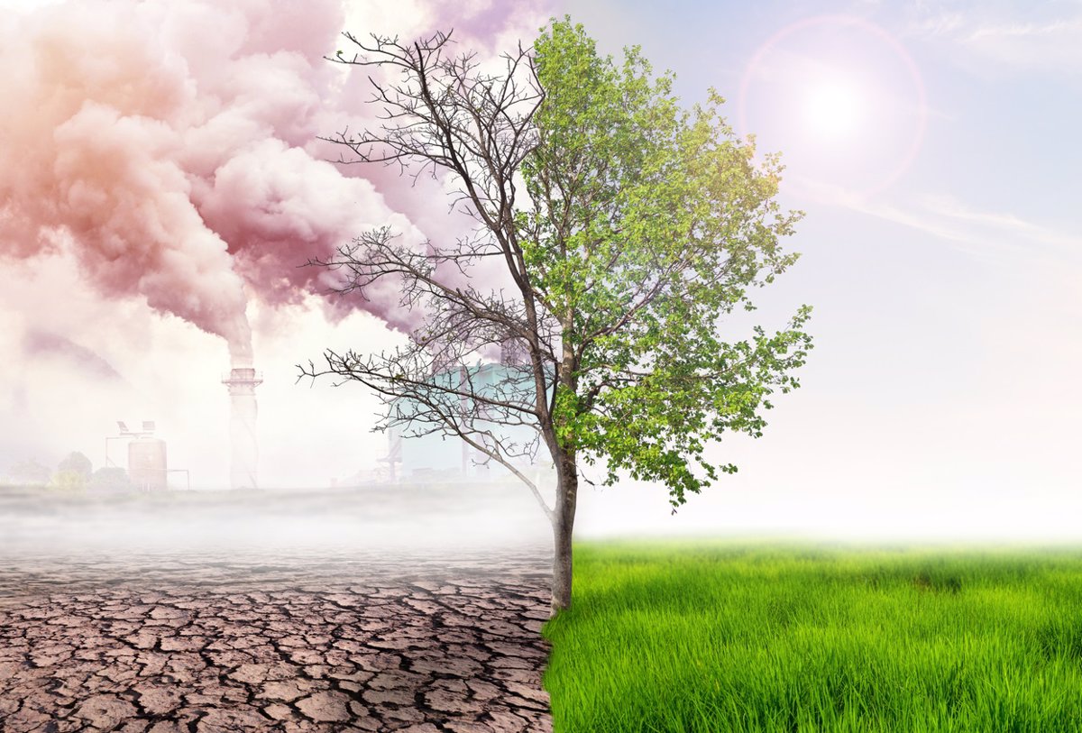 ¿Qué es el cambio climático? Ideas para explicar este fenómeno medioambiental a los niños