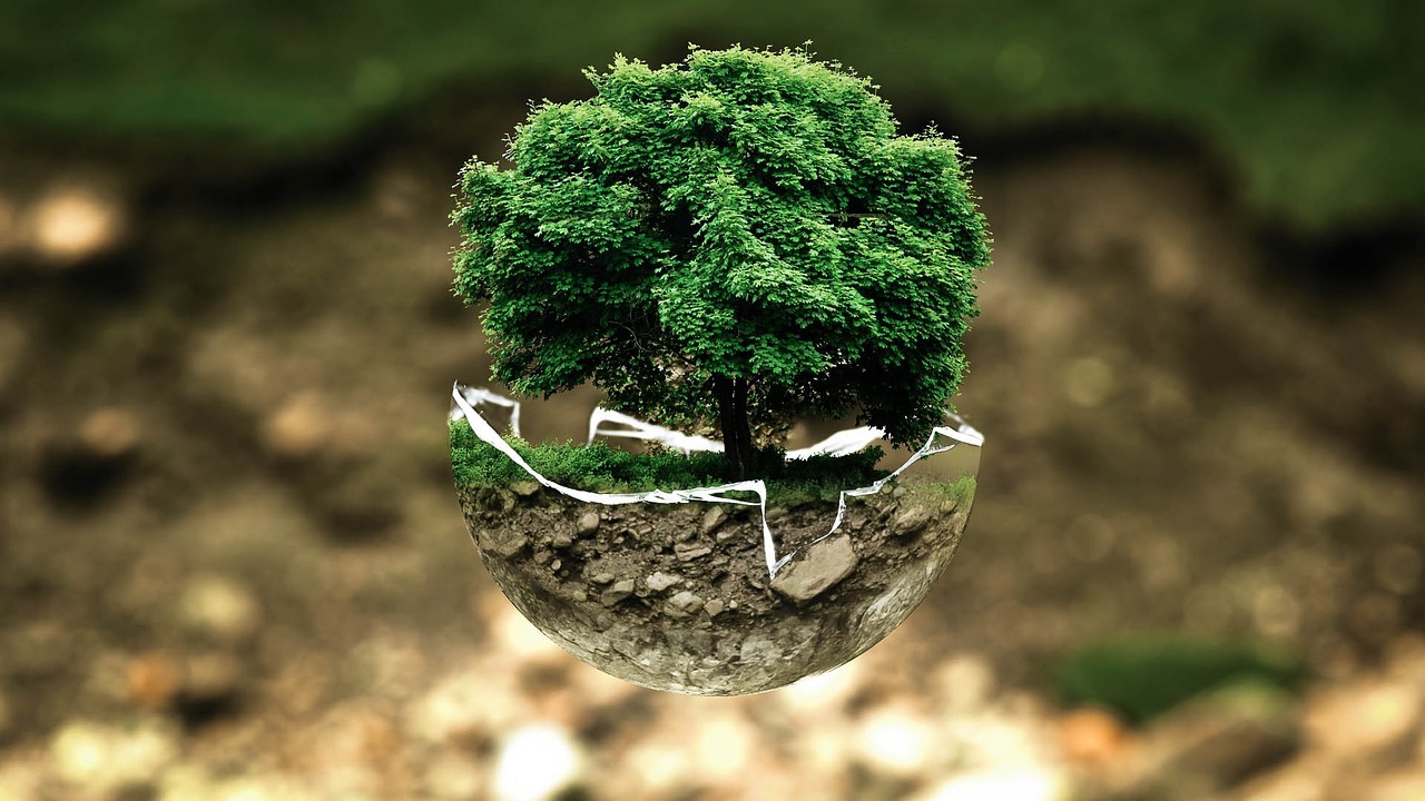 environmental-protection-gf8c4749be_1280